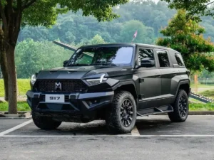 A Kínában Dongfeng Mengshi-ként árult M-Hero I a világ több piacán többféle márka- és típusnéven fut. A több mint háromtonnás óriáshoz összkerék-kormányzás és szintszabályozós légrugózás is jár