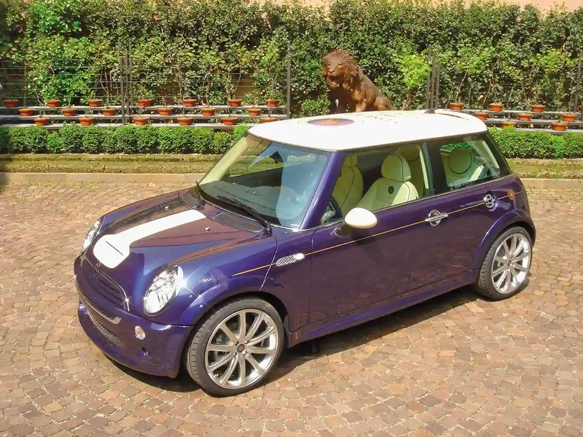 12 darabbal az egyik legritkább sorszámozott új Mini a 2005-ben kitalált Cooper S Sassicaia, amely akkor 41 ezer euróba – két normál Cooper S árába – került. Az olaszos hangzású név nem véletlen: egy észak-olaszországi, 1985-ös évjáratú bor ihlette eme különkiadást. A tető festése a palack címkéje, egyedi a bőrkárpit, de az igazi különlegességet a csomagtartó rejtette. A kék bőrrel bevont kis szekrényben két kristálypohár és a nevezetes borból egy palack is járt az autóhoz